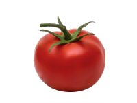 TOMATE
