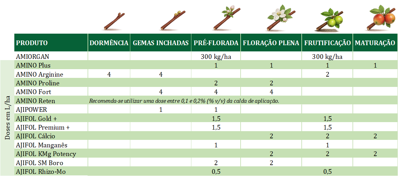 Maça
