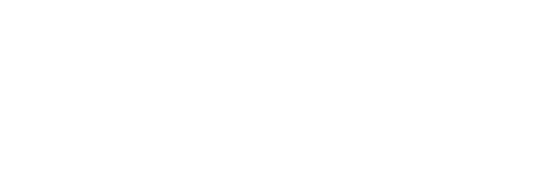 AMINO Proline